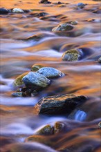 River Lonza, Lötschental, Valais, Switzerland, Europe