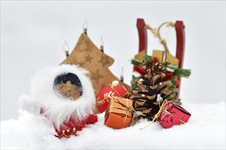 Christmas decoration, Inuit with sleigh and Christmas tree ball and pine cones and Christmas