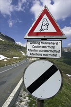 Traffic sign 'Caution Marmots', Großglockner, National Park Upper Tauern, Austria, warning sign