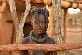 Himba girl with typical hairstyle, Omuramba, Kaokoland, Kunene, Namibia, Africa