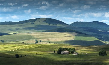 Farm in Cezallier massif, Regional Nature Park of Volcans d'Auvergne, Puy de Dome department,