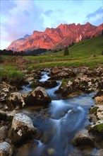 Mountain stream, evening light, alpenglow, Alpstein massif with Säntis, Appenzell, Switzerland,