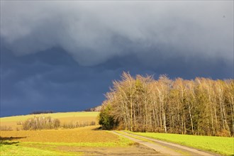 Thunderstorm cell near Oederan in the Ore Mountains