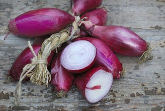 Bunch red onions, onion