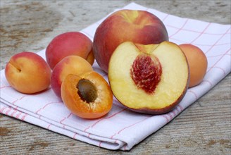 Peaches and Apricots ( Prunus armeniaca) ( Prunus persica)