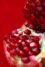 Pomegranate-Fruit (Punica granatum)