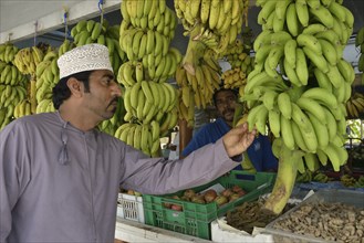 Local man checking bananas on a stall, Salalah, Dhofar Region, Orient, Oman, Asia