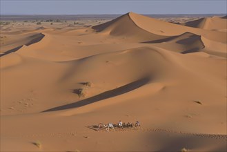 Tourists riding camels in the dunes, Sahara, Meknès-Tafilalet region, Morocco, Africa