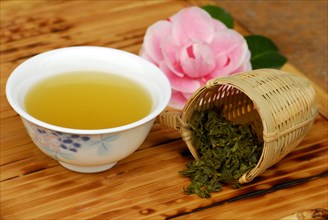 Cup green tea, tea strainer, camellia blossom, green tea, camellia, green tea