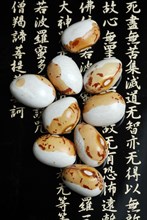 Japanese Soya beans (Glycine max) , from Hokkaido, bean, beans Soja, characters