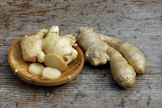 Ginger ( Zingiber officinale) freshly harvested and in the usual commercial form, roots, root