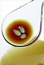 Pumpkin seed oil and pumpkin seeds (Cucurbita pepo var. styriaca)