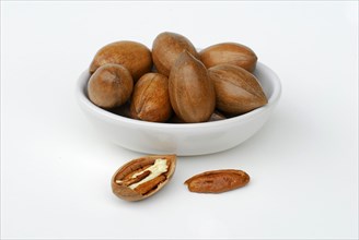 Pecans in a bowl (Carya illinoinensis)