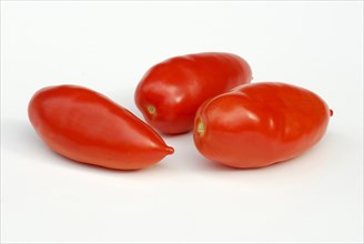 Tomato (Solanum lycopersicum) San Marzano