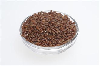 Red rice, Camargue rice from France, rice variety with a red bran layer, usually offered as brown