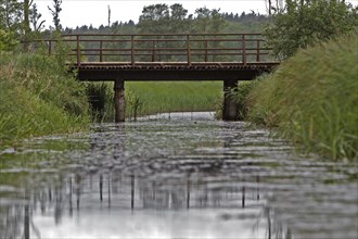 Dilapidated bridge over a moat, dilapidated infrastructure, Peene Valley River Landscape nature