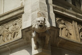 Meissen Albrechtsburg, gargoyle on the Wendelstein