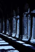 Cloister, Saint Trophime Cathedral, Arles, Bouches-du-Rhone, Provence-Alpes-Cote d'Azur, Southern