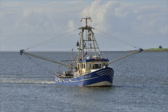 Fishing boat off Pellworm island, North Frisia, Schleswig-Holstein, Germany, Europe