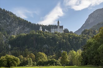 Neuschwanstein Castle, Schwangau, Ostallgäu, Allgäu, Swabia, Upper Bavaria, Bavaria, Germany,