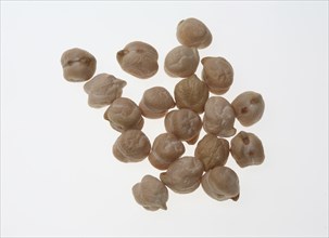 Chickpeas (Cicer arietinum), field pea, legume family