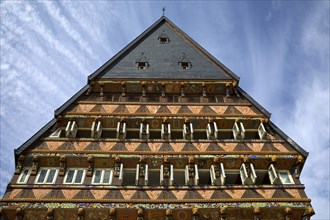 Historic Knochenhaueramtshaus on the market square, Old Town, Hildesheim, Lower Saxony, Germany,