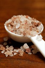 Spoon with natural salt, from the Salzkammergut, mill salt, salt