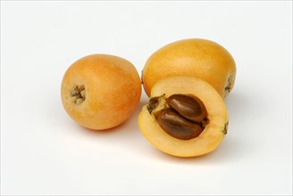 Medlar (Eriobotrya japonica) Nespoli, Medlar, Japanese medlar, Japanese medlar