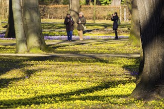 Spring bloomers in the Great Garden