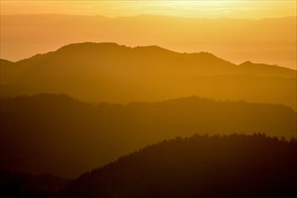 Sunset at Schliffkopf, near Baiersbronn, Freudenstadt district, Black Forest, Baden-Württemberg,