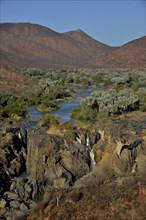 Epupa Falls, waterfalls of the Kunene River on the Namibian-Angolan border, Kunene Region, Namibia,