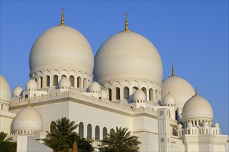 Sheikh Zayed Mosque, Domes, Abu Dhabi City, Emirate of Abu Dhabi, United Arab Emirates, Asia