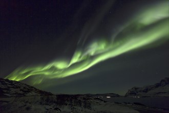 Northern Lights, Aurora borealis over Skjervøy Island