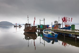 Fishing boats in the harbour of Reddevitz, Rügen Island, Mecklenburg-Western Pomerania, Germany,