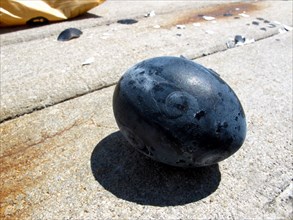 Egg, tamago, black er, black, kuro-tamago, cooked in hot sulphur water, hakone, Japan, Asia