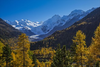 Piz Palü, 3905 m, Piz Bernina, 4049 m, Piz Morteratsch, 3751, Morteratsch Glacier, Upper Engadine,