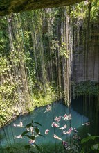 People swimming in limestone sinkhole pool, Cenote Ik kil, Pisté, Yucatan, Mexico, Central America