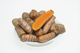 Turmeric (Curcuma longa) or curcume, yellow ginger, saffron root, turmeric, plant species of the