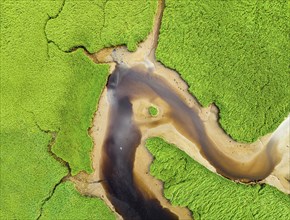 Top Down over Sharpham Meadows and Marsh over River Dart from a drone, Totnes, Devon, England,