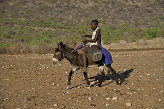 Young Himba shepherd riding on his donkey, Ombombo, Kaokoland, Kunene, Namibia, Africa