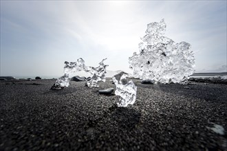 Ice, pieces of ice on black sand beach, on black lava beach Diamond Beach, Southeast Iceland,