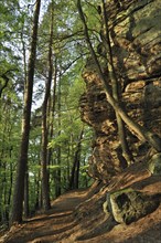 The Wanterbaach sandstone rock formation in Berdorf, Little Switzerland, Müllerthal, Grand Duchy of