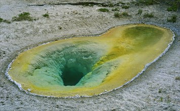 Belgian Geyser, Belgian Pool, hot spring in the Upper Geyser Basin of Yellowstone National Park,