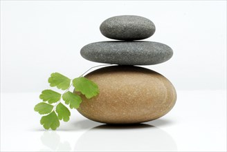 Stacked stones and leaf of lady's hair fern, cutout, object