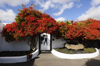 Foundation Cesar Manrique, Tahiche, Lanzarote, Canary Islands, Spain, Fundacion Cesar Manrique