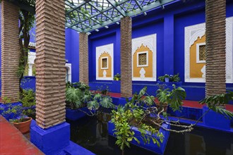 Morocco, Jardin Majorelle Botanical Garden in Marrakech, Africa