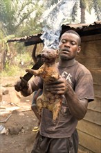 Local man preparing a Rusty-spotted Genet (Genetta maculata) as bushmeat, Mangamba, Littoral