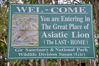 Picture of an Asiatic Lion on a sign at the entrance to the Gir National Park, Gir Forest National