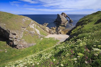 Bow Fiddle Rock, Scotland, Great Britain