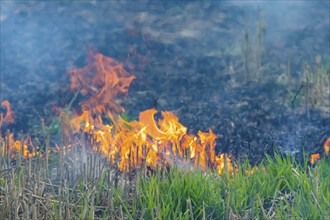 During controlled field fires, the firefighters were able to test various extinguishing methods,